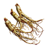 Herb Root